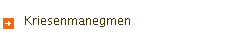 Kriesenmanegmen
